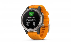 GARMIN  fenix 5 Plus:     